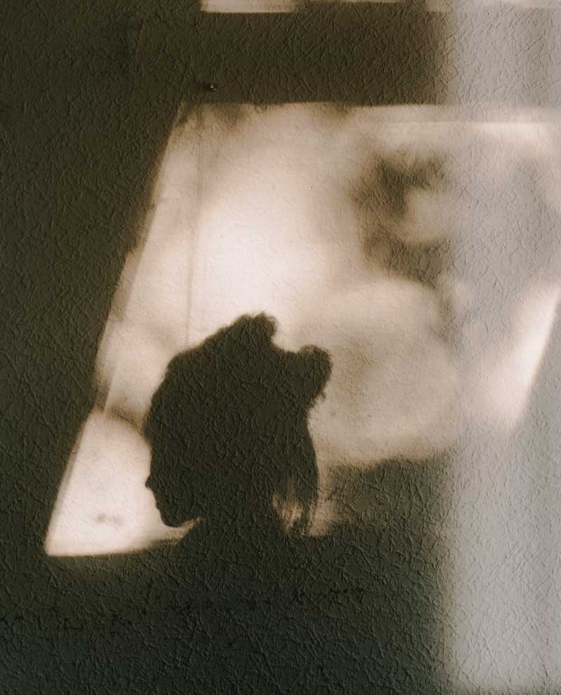 ###